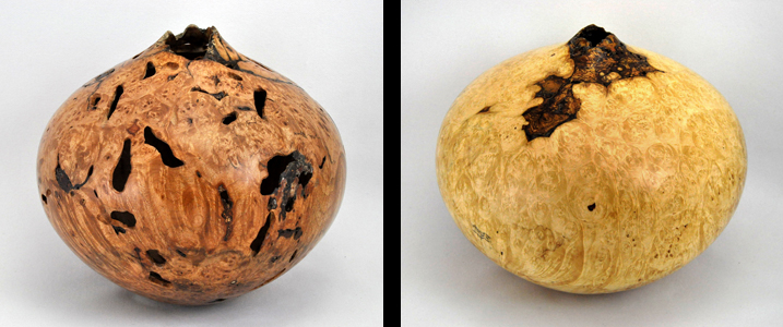 Maple Burl & Box Elder