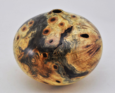 Buckeye Burl