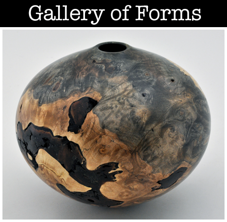 Gallery of Forms