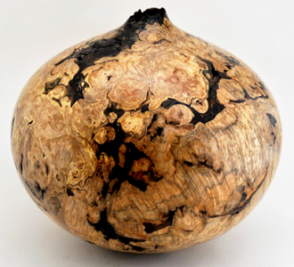 Maple Burl